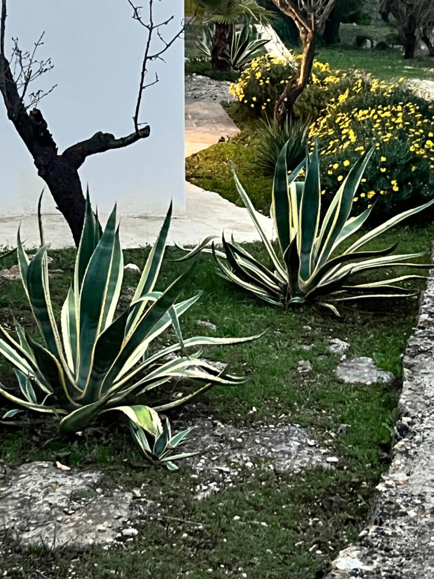 Готель Syconium Trullo And Lamia Gea Charme And History Остуні Екстер'єр фото